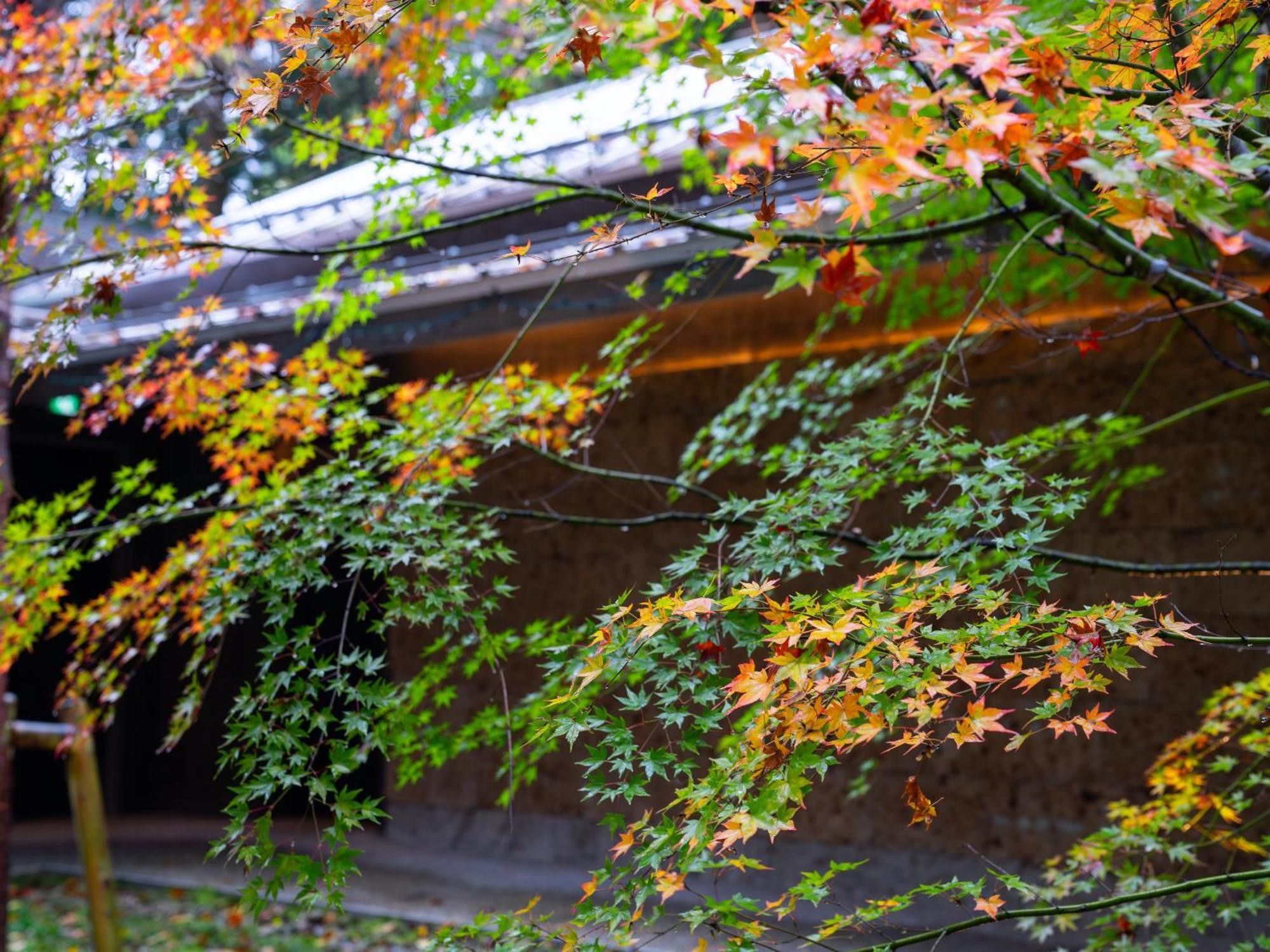 Nikko Nishimachi Club Hotel Exterior photo